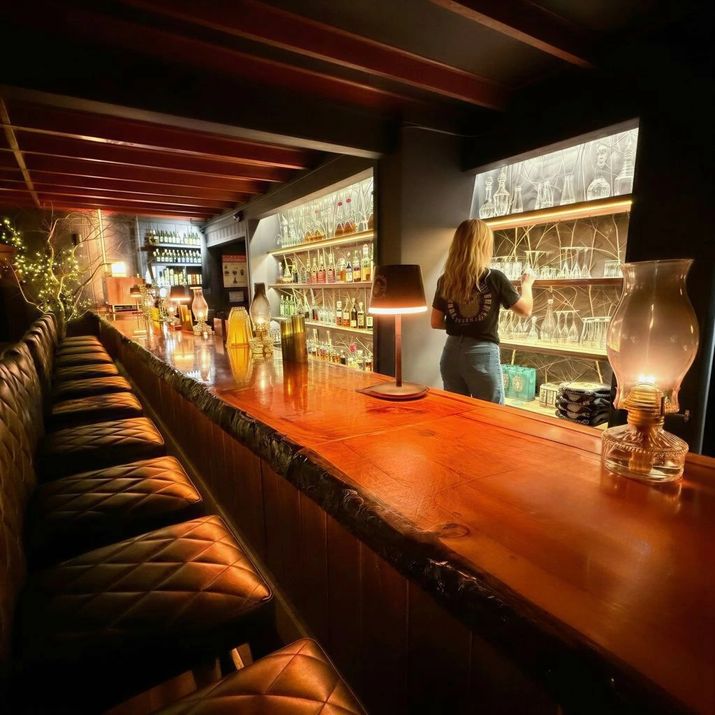 Comfortable chairs along the wooden bar